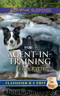 Agent-in-Training by Terri Reed