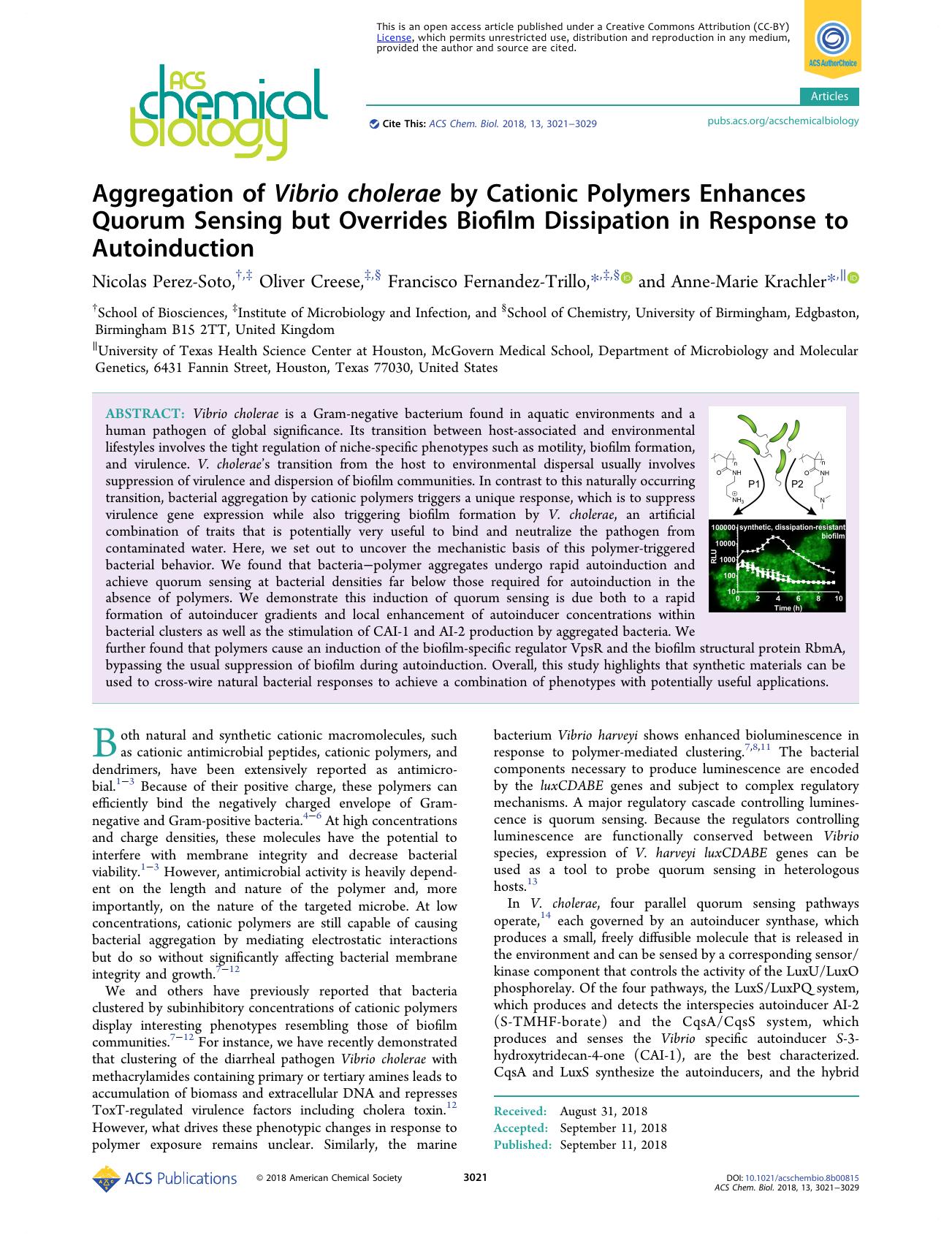 Aggregation of Vibrio cholerae by Cationic Polymers Enhances Quorum Sensing but Overrides Biofilm Dissipation in Response to Autoinduction by Nicolas Perez-Soto Oliver Creese Francisco Fernandez-Trillo and Anne-Marie Krachler