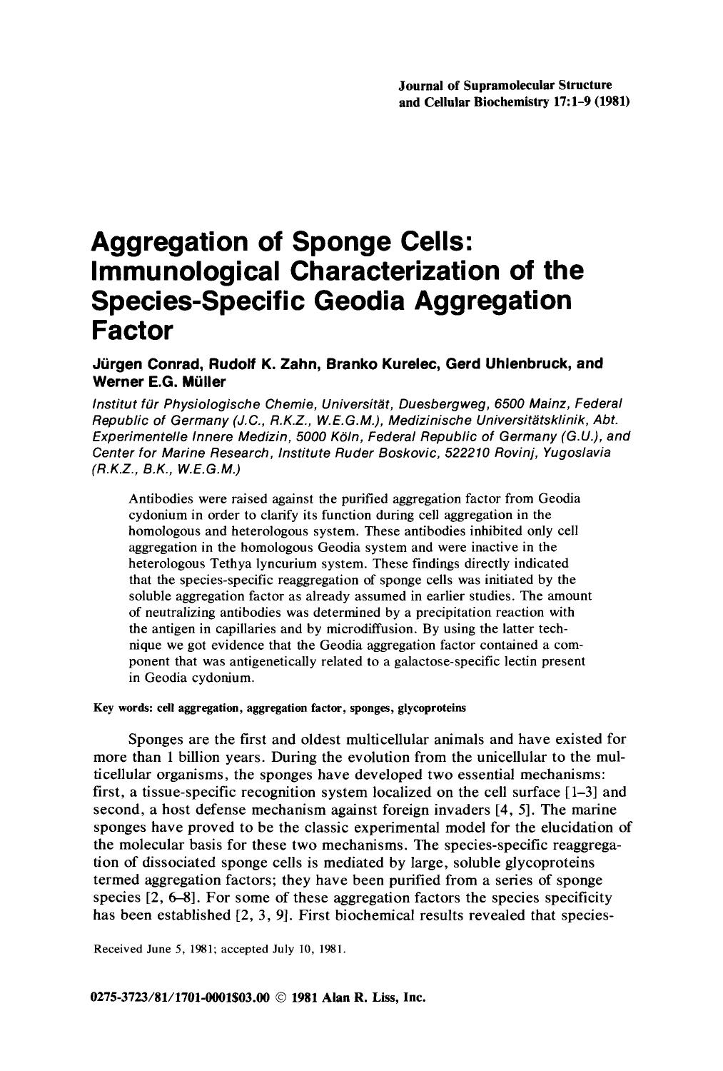 Aggregation of sponge cells: Immunological characterization of the species-specific geodia aggregation factor by Unknown