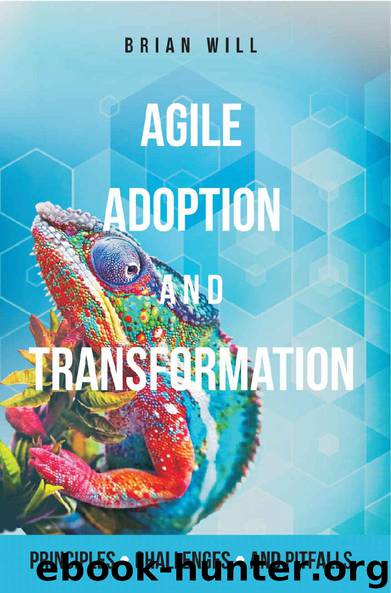 Agile Adoption & Transformation: Principles, Challenges, Pitfalls by Brian Will