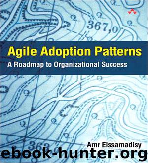 Agile Adoption Patterns: A Roadmap to Organizational Success by Amr Elssamadisy