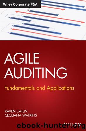 Agile Auditing by Raven Catlin & Ceciliana Watkins