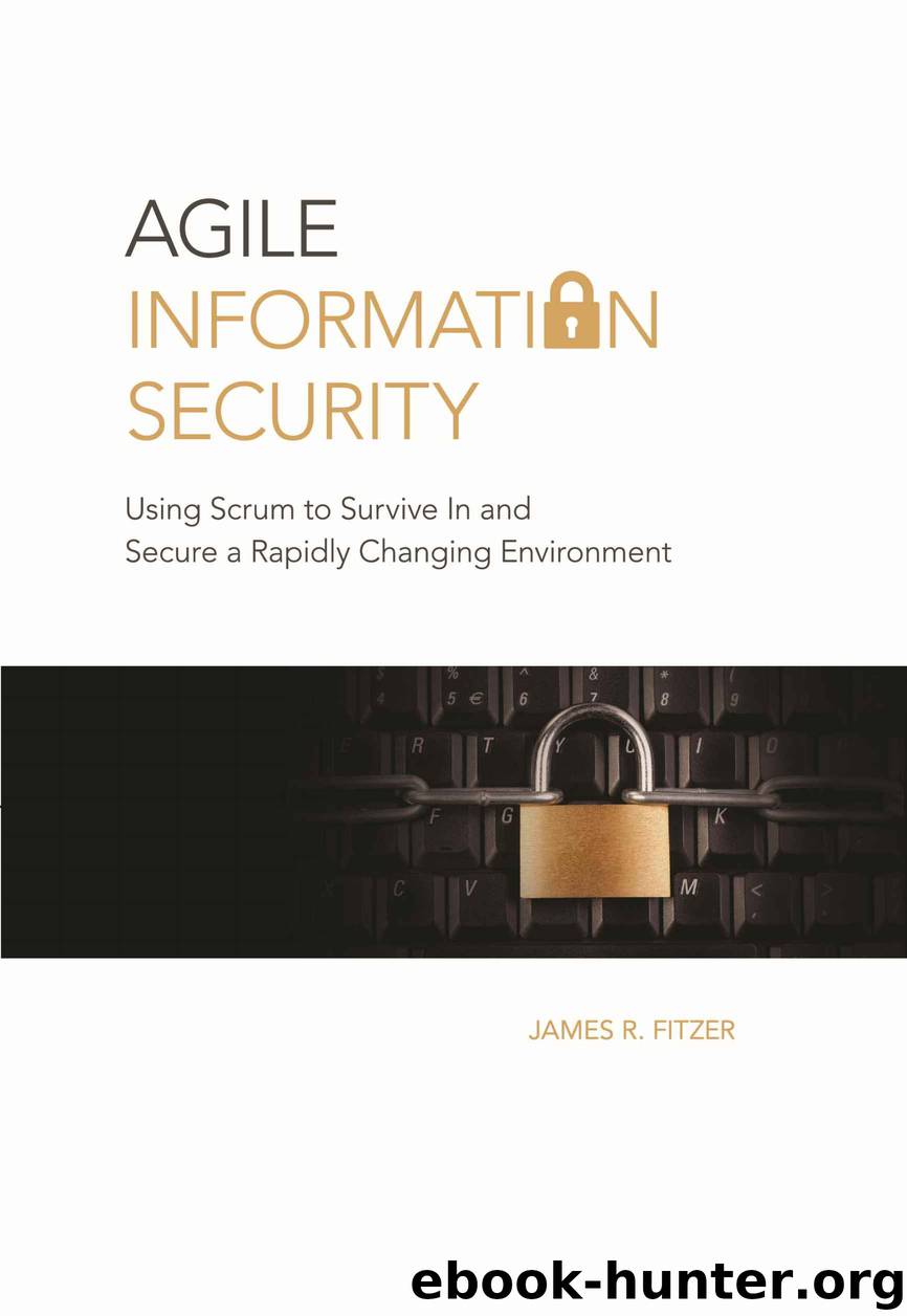 Agile Information Security by Fitzer James R