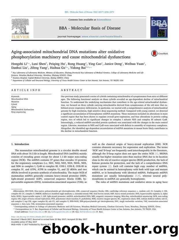 Aging-associated mitochondrial DNA mutations alter oxidative phosphorylation machinery and cause mitochondrial dysfunctions by unknow