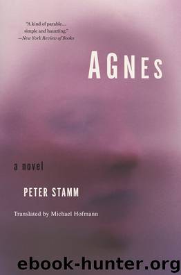 Agnes by Peter Stamm