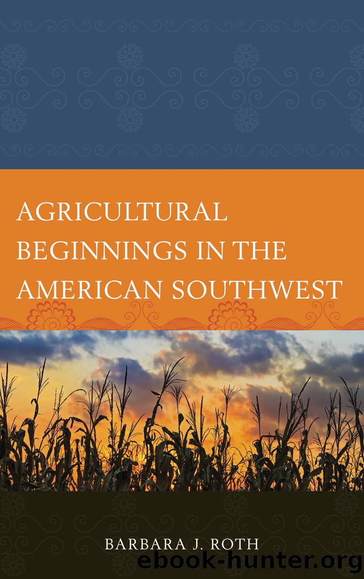 Agricultural Beginnings in the American Southwest by Roth Barbara J.;