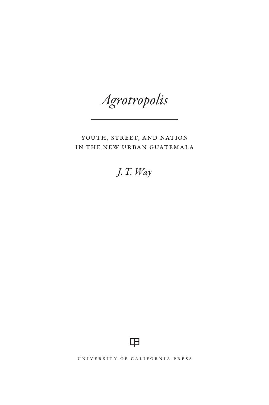 Agrotropolis: Youth, Street, and Nation in the New Urban Guatemala by J.T. Way