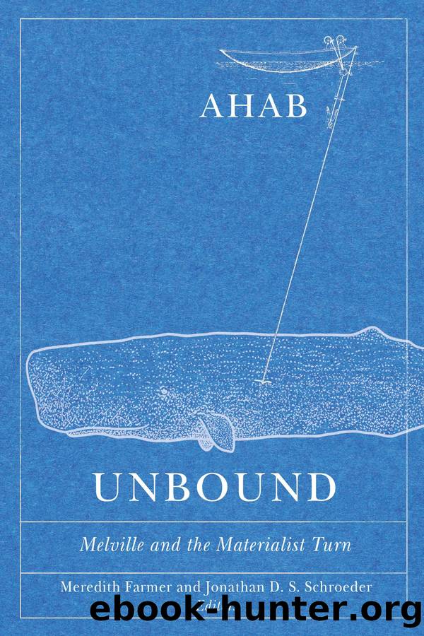 Ahab Unbound: Melville and the Materialist Turn by Meredith Farmer & Jonathan D. S. Schroeder