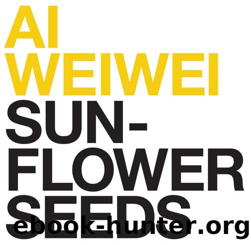 Ai Weiwei by Juliet Bingham