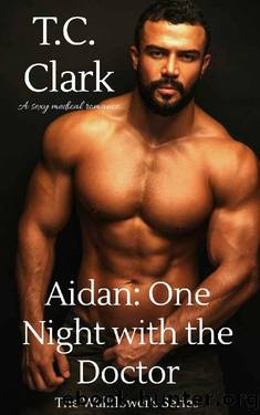 Aidan_One Night With The Doctor by T. C. Clark