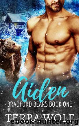 Aiden: A Fake Marriage Shifter Romance (Bradford Bears Book 1) by Terra Wolf