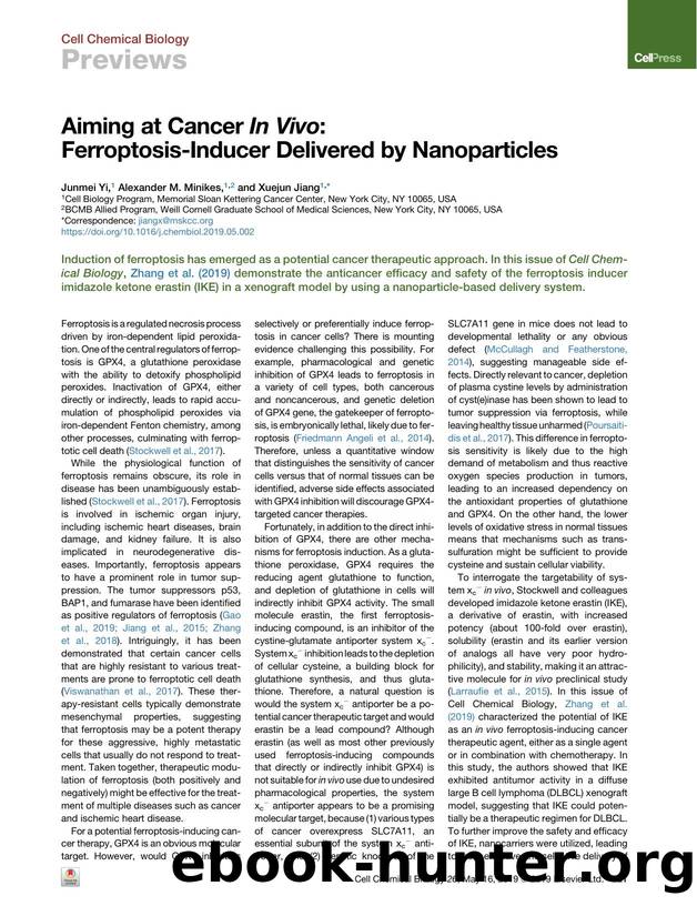 Aiming at Cancer In&nbsp;Vivo: Ferroptosis-Inducer Delivered by Nanoparticles by Junmei Yi & Alexander M. Minikes & Xuejun Jiang