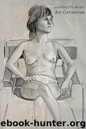 Air Carnation by Guadalupe Muro