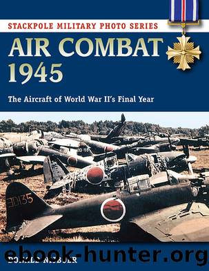 Air Combat 1945 by Donald Nijboer