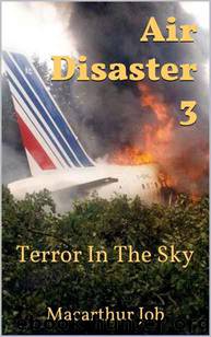 Air Disaster 3: Terror In The Sky by Macarthur Job