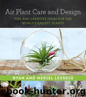 Air Plant Care and Design by Ryan Lesseig