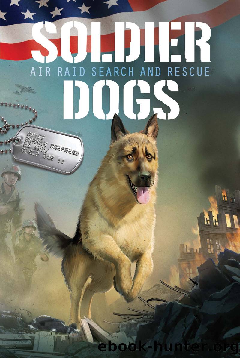 Air Raid Search and Rescue by Marcus Sutter