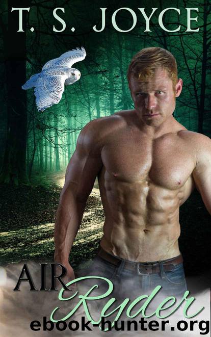 Air Ryder (Harper's Mountains Book 3) by T. S. Joyce
