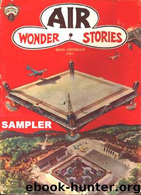Air Wonder Stories Sampler by Raymond Z. Gallun & Cyril Plunkett