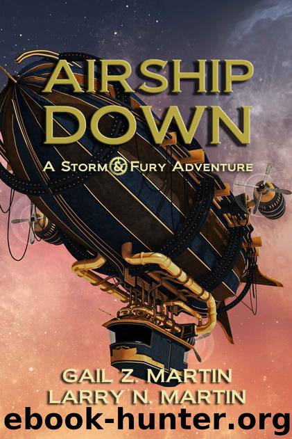 Airship Down by Gail Z. Martin & Larry N. Martin