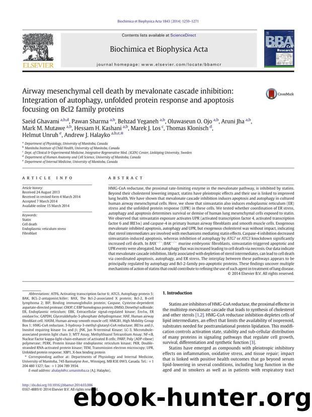 Airway mesenchymal cell death by mevalonate cascade inhibition: Integration of autophagy, unfolded protein response and apoptosis focusing on Bcl2 family proteins by unknow