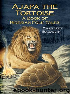 Ajapa the Tortoise by Margaret Baumann