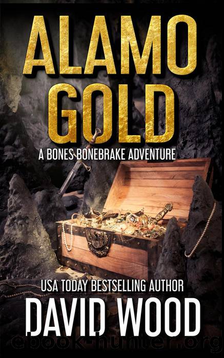 Alamo Gold by David Wood