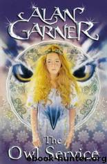 Alan Garner by The Owl Service