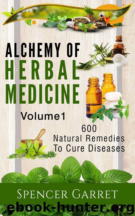 Alchemy of Herbal Medicine by Spencer Garret