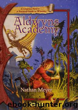 Aldwyn's Academy by Nathan Meyer
