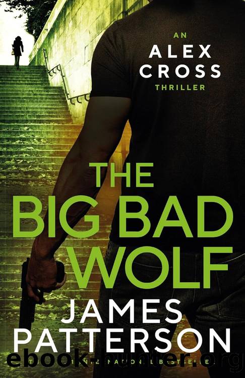 Alex Cross 09: The Big Bad Wolf by James Patterson
