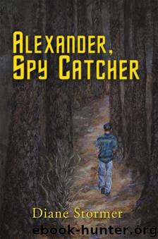 Alexander, Spy Catcher by Diane Stormer