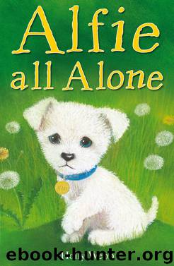 Alfie All Alone by Holly Webb