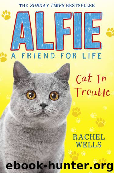 Alfie Cat In Trouble by Rachel Wells