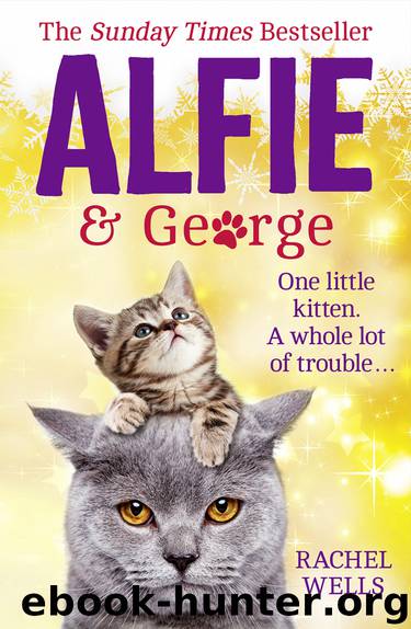 Alfie and George by Rachel Wells