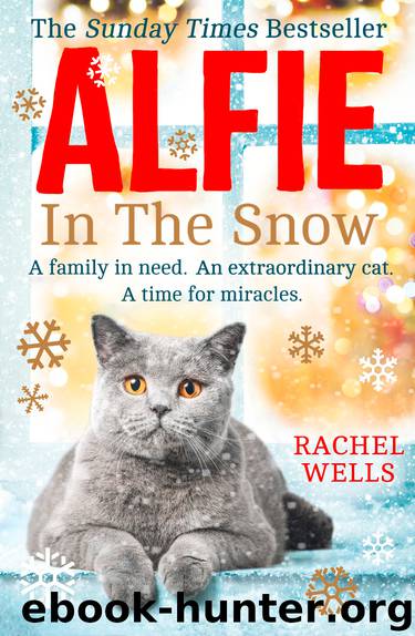 Alfie in the Snow by Rachel Wells