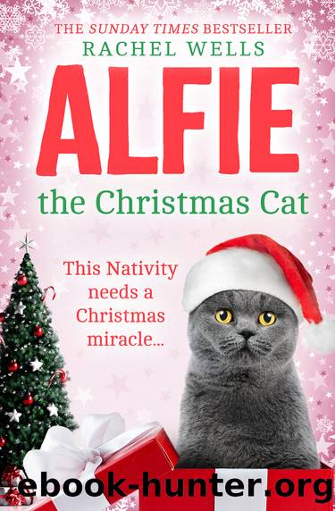 Alfie the Christmas Cat by Rachel Wells