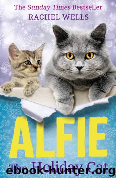 Alfie the Holiday Cat by Rachel Wells