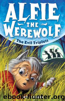 Alfie the Werewolf 5: The Evil Triplets by van Loon Paul