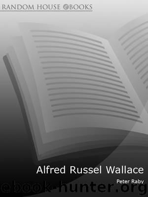 Alfred Russel Wallace by Peter Raby