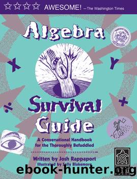 Algebra Survival Guide by Josh Rappaport