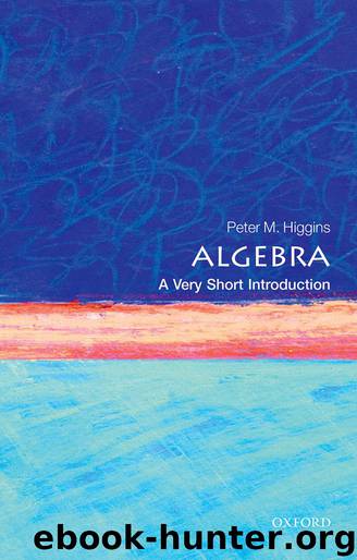 Algebra: A Very Short Introduction by Peter M. Higgins
