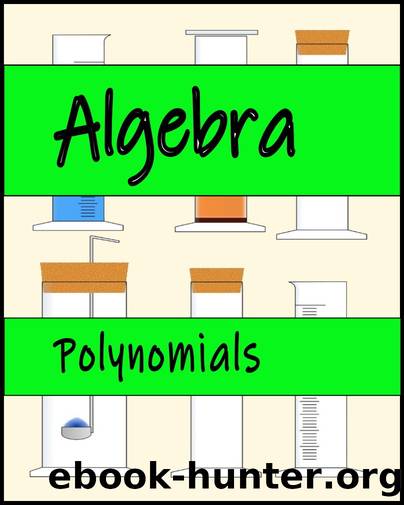 Algebra: Polynomials by Stephen Bucaro