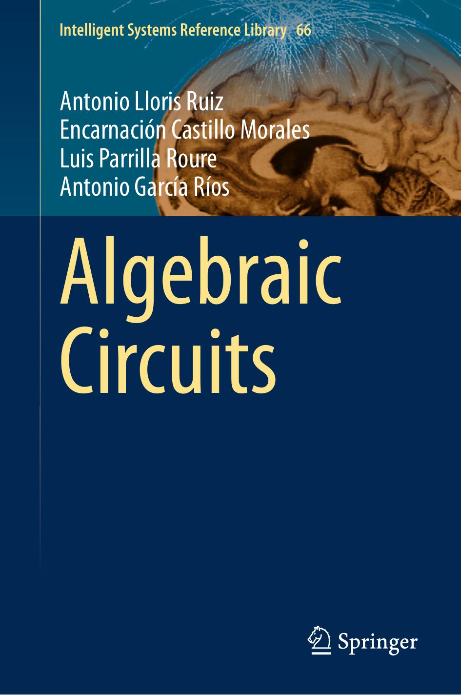 Algebraic Circuits by Antonio Lloris Ruiz Encarnación Castillo Morales Luis Parrilla Roure Antonio García Ríos (auth.)