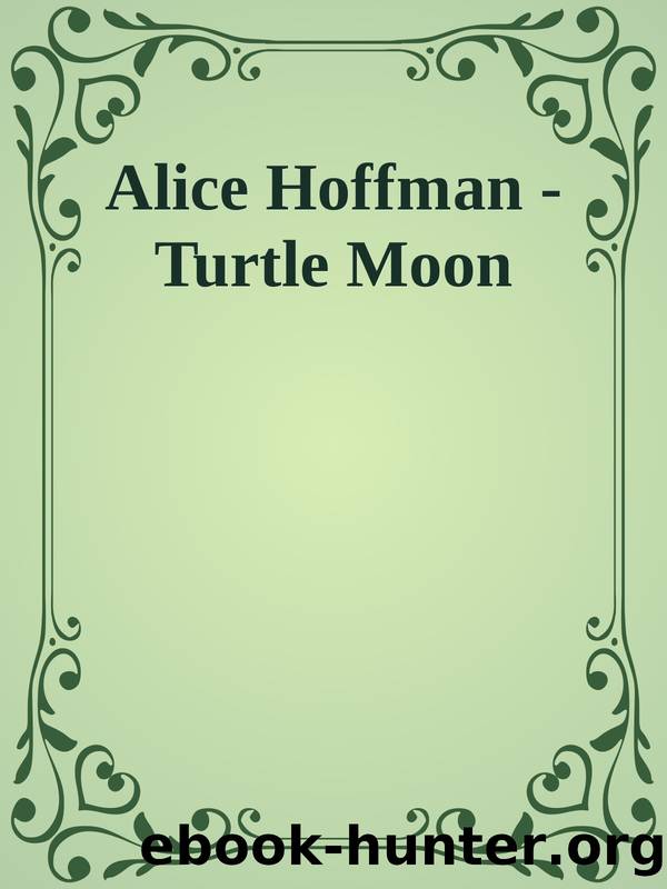 Alice Hoffman - Turtle Moon by Moon Turtle