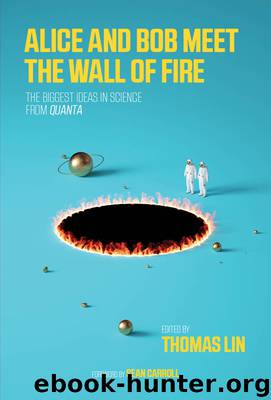 Alice and Bob Meet the Wall of Fire by Thomas Lin