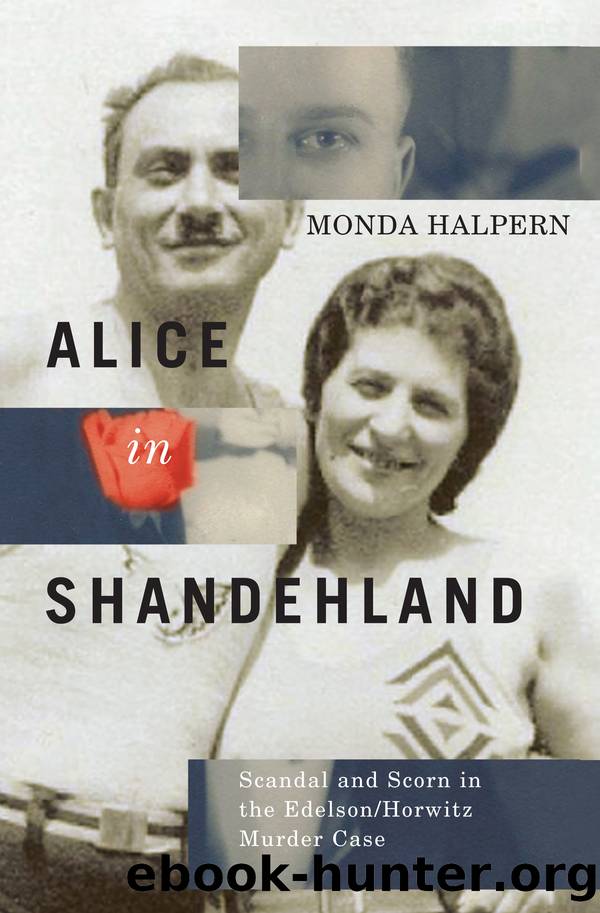 Alice in Shandehland by Monda Halpern