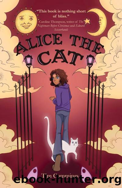 Alice the Cat by Tim Cummings