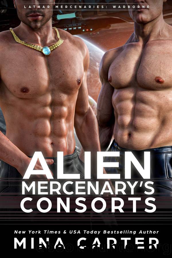 Alien Mercenary's Consorts by Mina Carter