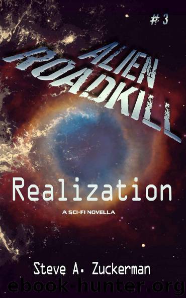 Alien Roadkill - Realization by Steve Zuckerman